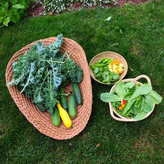 garden_produce